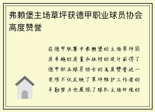 弗赖堡主场草坪获德甲职业球员协会高度赞誉 弗赖堡主场草坪获德甲职业球员协会高度赞誉