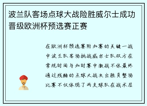 波兰队客场点球大战险胜威尔士成功晋级欧洲杯预选赛正赛 波兰队客场点球大战险胜威尔士成功晋级欧洲杯预选赛正赛